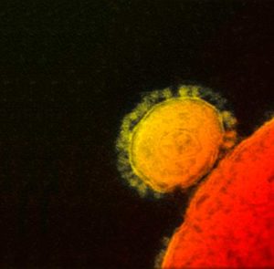 El coronavirus en la globalización