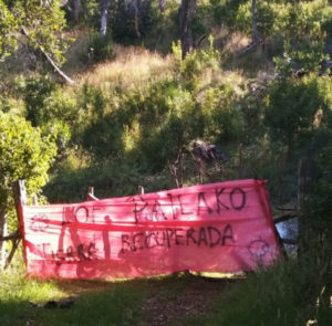 Hostigamiento a comunidad Mapuche Lof Pailako