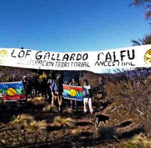 Apoyo a la recuperación de territorio mapuche