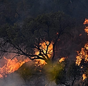 Arde Córdoba: crónica de un incendio anunciado