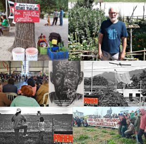 Argentina: Vecinos que luchan contra el agronegocio en el primer país en comercializar el trigo transgénico