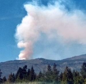 Incendio en territorio mapuche: la indiferencia del Estado es una decisión política