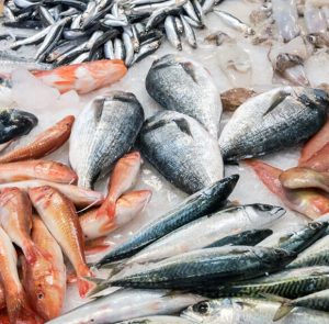 Pescadazo de la UTEP frente al Congreso, a $100 el kilo