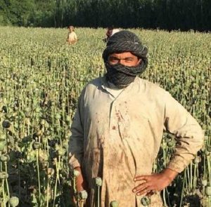 Talibanes y recursos económicos: impuestos, donaciones de países extranjeros y narcotráfico