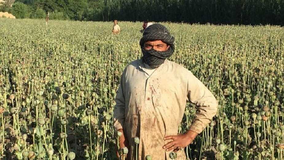 Talibanes y recursos económicos: impuestos, donaciones de países extranjeros y narcotráfico