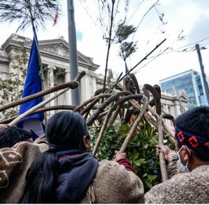 Desde la Asamblea Constituyente se negaron a recibir a 28 comunidades Mapuche