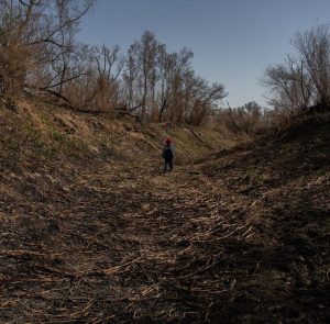 Río Paraná: “No es una bajante, no es una sequía. Es la deforestación”