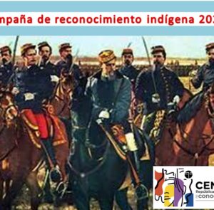 Dis-Censo Mapuche 2022: Censo e hipervigilancia  en la Argentina