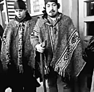 Forestal Arauco busca humillar a la Nación Mapuche: la sustentabilidad del saqueo