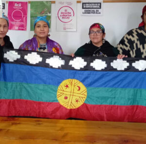 MUNDO DEL REVÉS: MAPUCHES A JUICIO POR “USURPACIÓN”