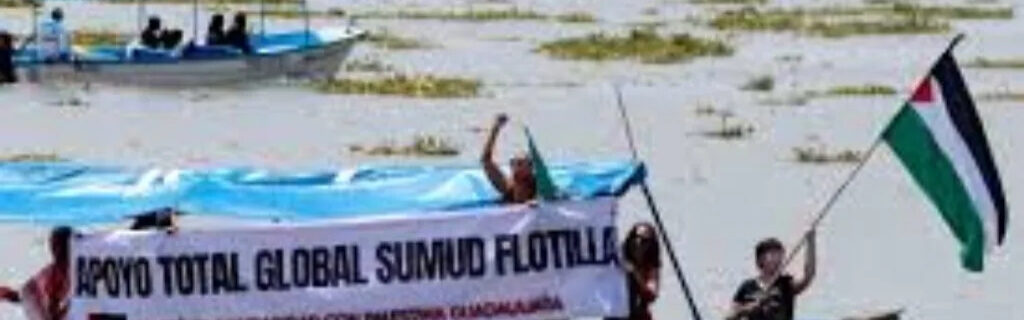 PALESTINA: UNA FLOTILLA COMO SÍNTOMA. ¿QUÉ SE ESTÁ MOVIENDO EN OCCIDENTE?