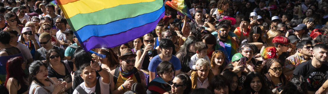 MARCHA DEL ORGULLO: SOBRE EL ESTADO DEL ODIO, EL “LOBBY GAY” Y LA RESISTENCIA