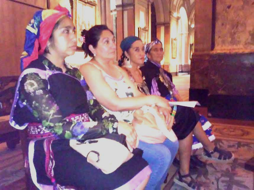 Mujeres mapuche ocupan la Catedral en reclamo de la libertad de Machi Francisca Linconao