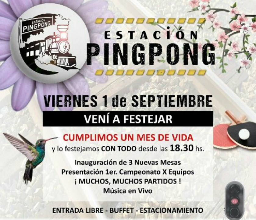 Estación Ping Pong: Primer campeonato por equipos